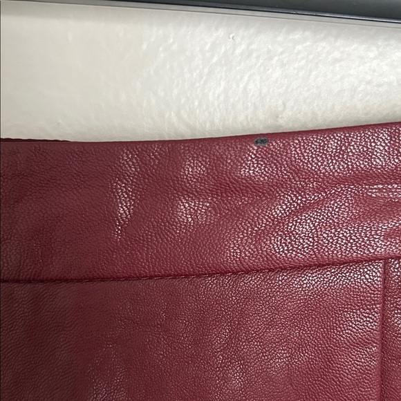 Zara Burgundy Mini Skirt with Gold Button Details - Picture 6 of 11